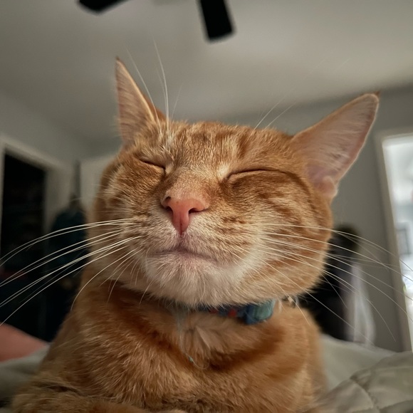 Meet your Posher, Jess - Picture 5 of 16